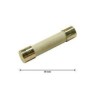 Bezpiecznik 10A 6X32MM B 354  4111.040 MASTER