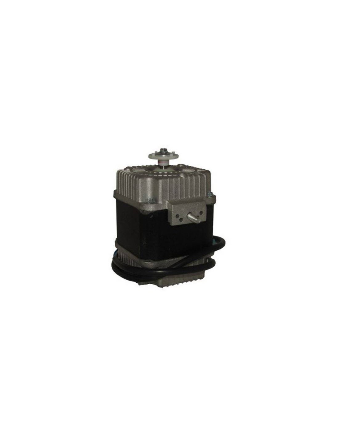 Silnik 220W  4160.047 MASTER