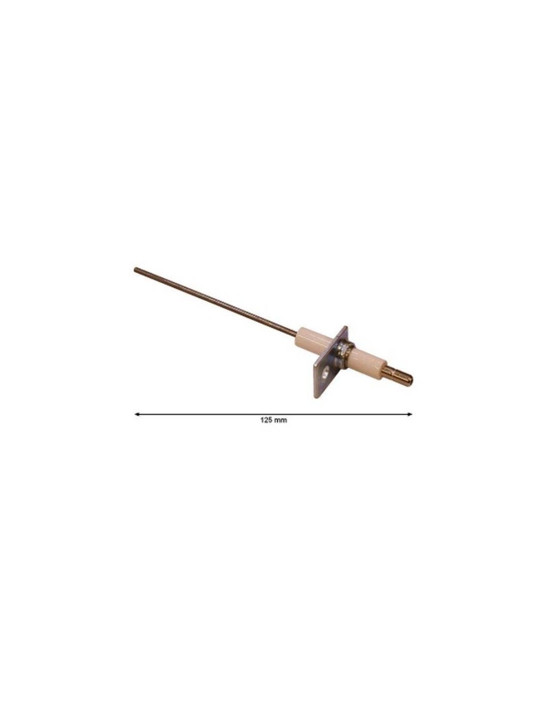 Elektroda jonizacyjna BLP100  4162.070 MASTER
