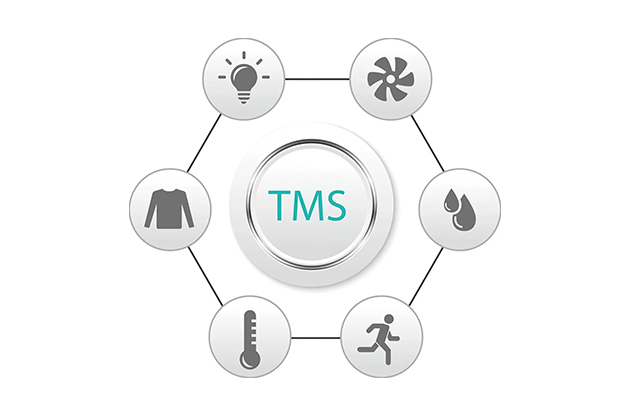 Kontrola komfortu TMS